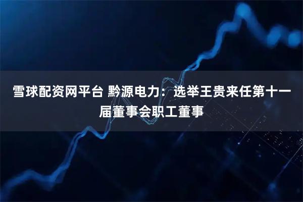 雪球配资网平台 黔源电力：选举王贵来任第十一届董事会职工董事