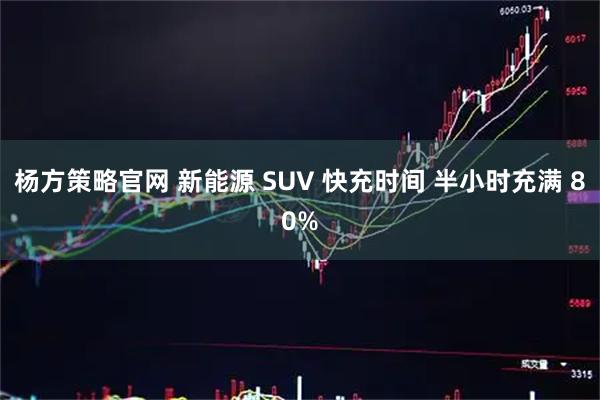 杨方策略官网 新能源 SUV 快充时间 半小时充满 80%