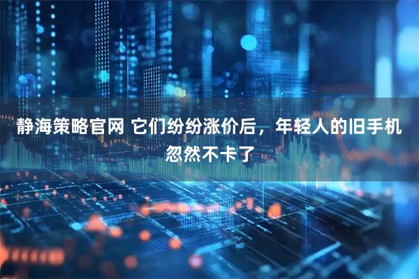 静海策略官网 它们纷纷涨价后，年轻人的旧手机忽然不卡了